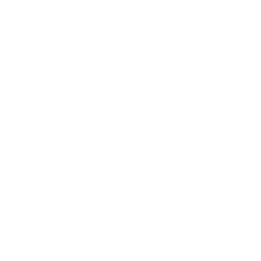 kayak icon