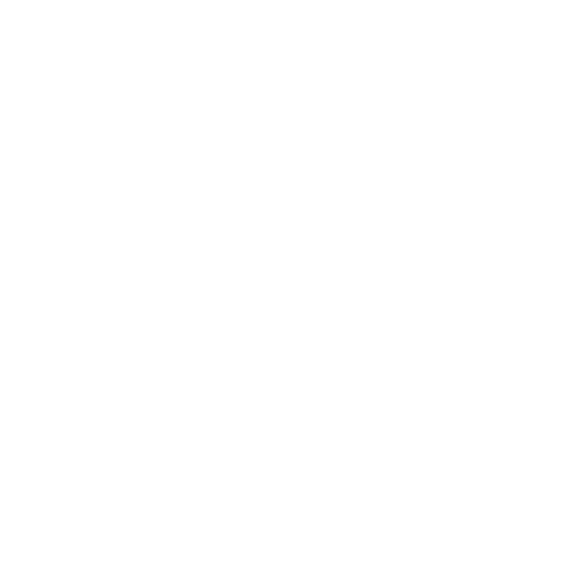 loupe icon
